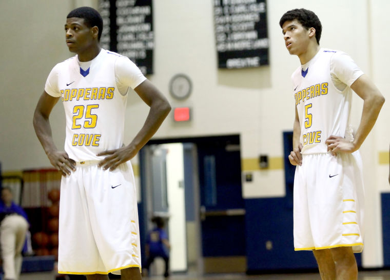Roos too much for Dawgs